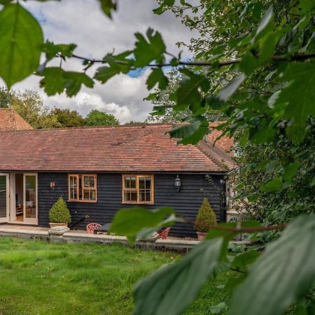 Crabtree Farm - South Stable Villa Ashford  Bagian luar foto